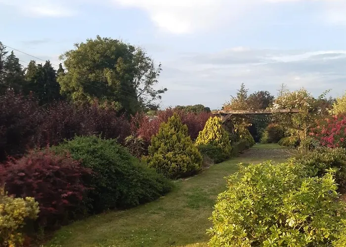 Mature 4 Bedroom With Relaxing Garden And Wonderful Views Carlow